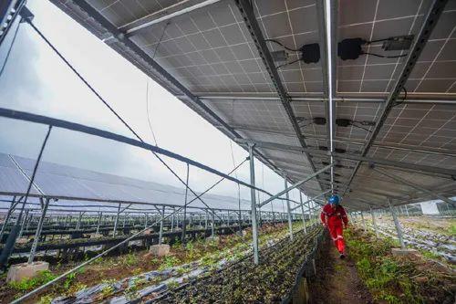 中國(guó)十三省最大光伏電站在這里！欽州康熙嶺的光伏電站能排上號(hào)了嗎？